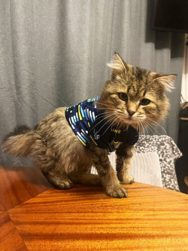 photo 2025 03 27 19 55 13 (2)