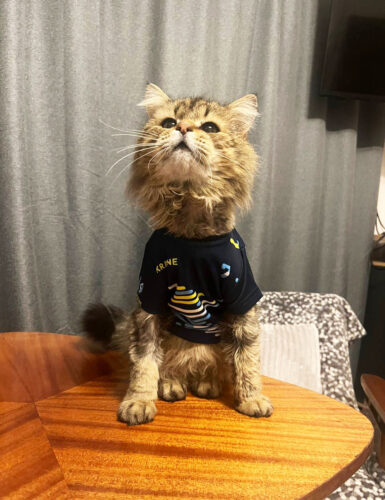 photo 2025 03 27 19 55 13