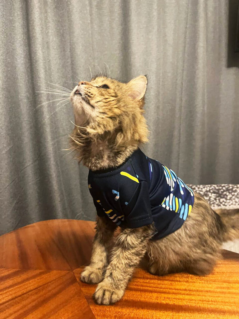 photo 2025 03 27 19 55 14